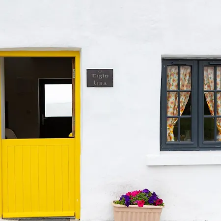 Shannon Castle Type C By Trident Homes Ballysteen